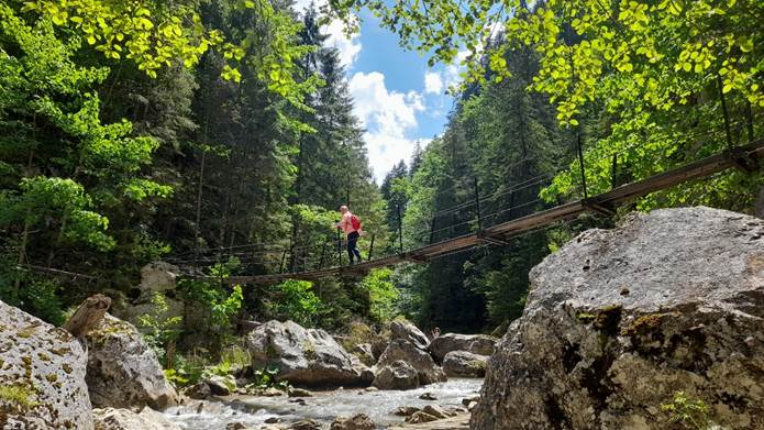 A k�pen k�lt�ri, fa, �g, n�v�ny l�that�

Automatikusan gener�lt le�r�s