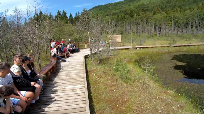 A k�pen k�lt�ri, �g, f�, szem�ly l�that�

Automatikusan gener�lt le�r�s